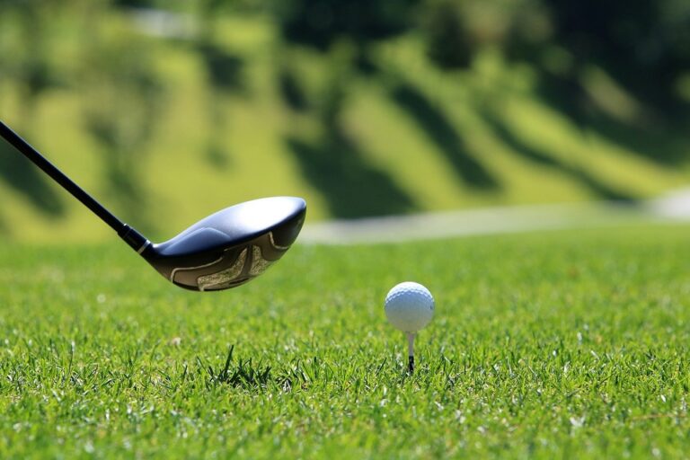 Grüne schicken offenen Brief an Golfclubmitglieder